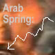 Arab Spring meltdown