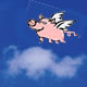 flying pig